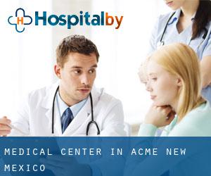 Medical Center in Acme (New Mexico)