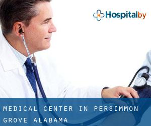 Medical Center in Persimmon Grove (Alabama)