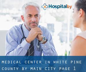 Medical Center in White Pine County by main city - page 1