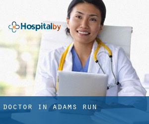 Doctor in Adams Run