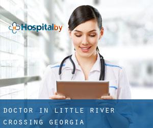 Doctor in Little River Crossing (Georgia)