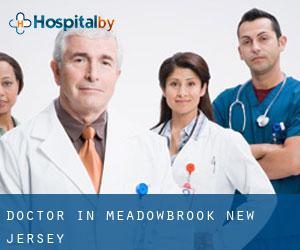 Doctor in Meadowbrook (New Jersey)