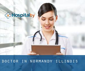 Doctor in Normandy (Illinois)