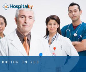 Doctor in Zeb
