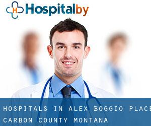 hospitals in Alex Boggio Place (Carbon County, Montana)