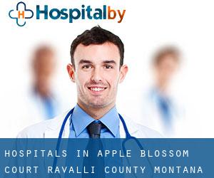 hospitals in Apple Blossom Court (Ravalli County, Montana)