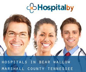 hospitals in Bear Wallow (Marshall County, Tennessee)
