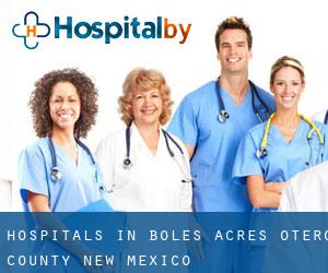 hospitals in Boles Acres (Otero County, New Mexico)