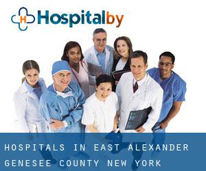hospitals in East Alexander (Genesee County, New York)