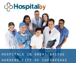 hospitals in Great Bridge Gardens (City of Chesapeake, Virginia)