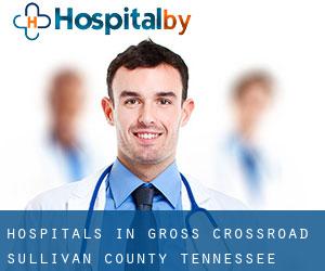 hospitals in Gross Crossroad (Sullivan County, Tennessee)