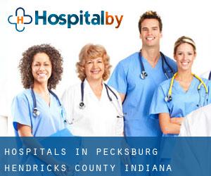 hospitals in Pecksburg (Hendricks County, Indiana)