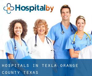 hospitals in Texla (Orange County, Texas)
