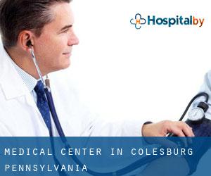 Medical Center in Colesburg (Pennsylvania)