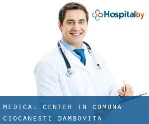 Medical Center in Comuna Ciocăneşti (Dâmboviţa)