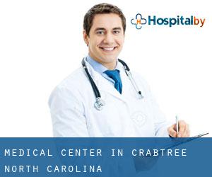 Medical Center in Crabtree (North Carolina)