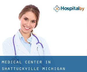 Medical Center in Shattuckville (Michigan)