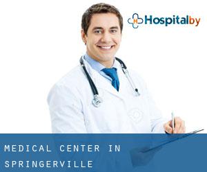 Medical Center in Springerville