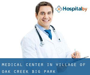 Medical Center in Village of Oak Creek (Big Park)