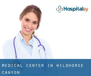 Medical Center in Wildhorse Canyon