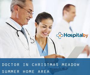 Doctor in Christmas Meadow Summer Home Area