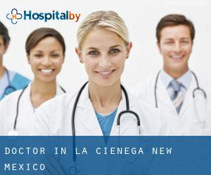 Doctor in La Cienega (New Mexico)