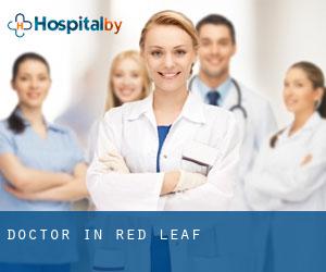 Doctor in Red Leaf