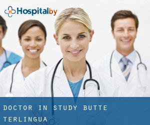 Doctor in Study Butte-Terlingua