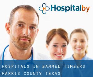 hospitals in Bammel Timbers (Harris County, Texas)