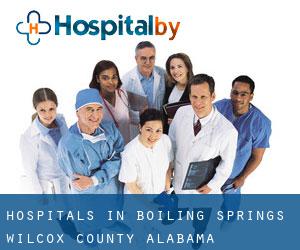 hospitals in Boiling Springs (Wilcox County, Alabama)