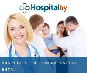 hospitals in Comuna Cătina (Buzău)
