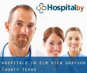 hospitals in Elm View (Grayson County, Texas)