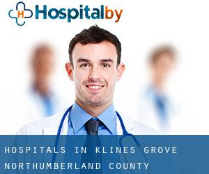 hospitals in Klines Grove (Northumberland County, Pennsylvania)