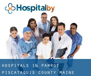 hospitals in Parrot (Piscataquis County, Maine)